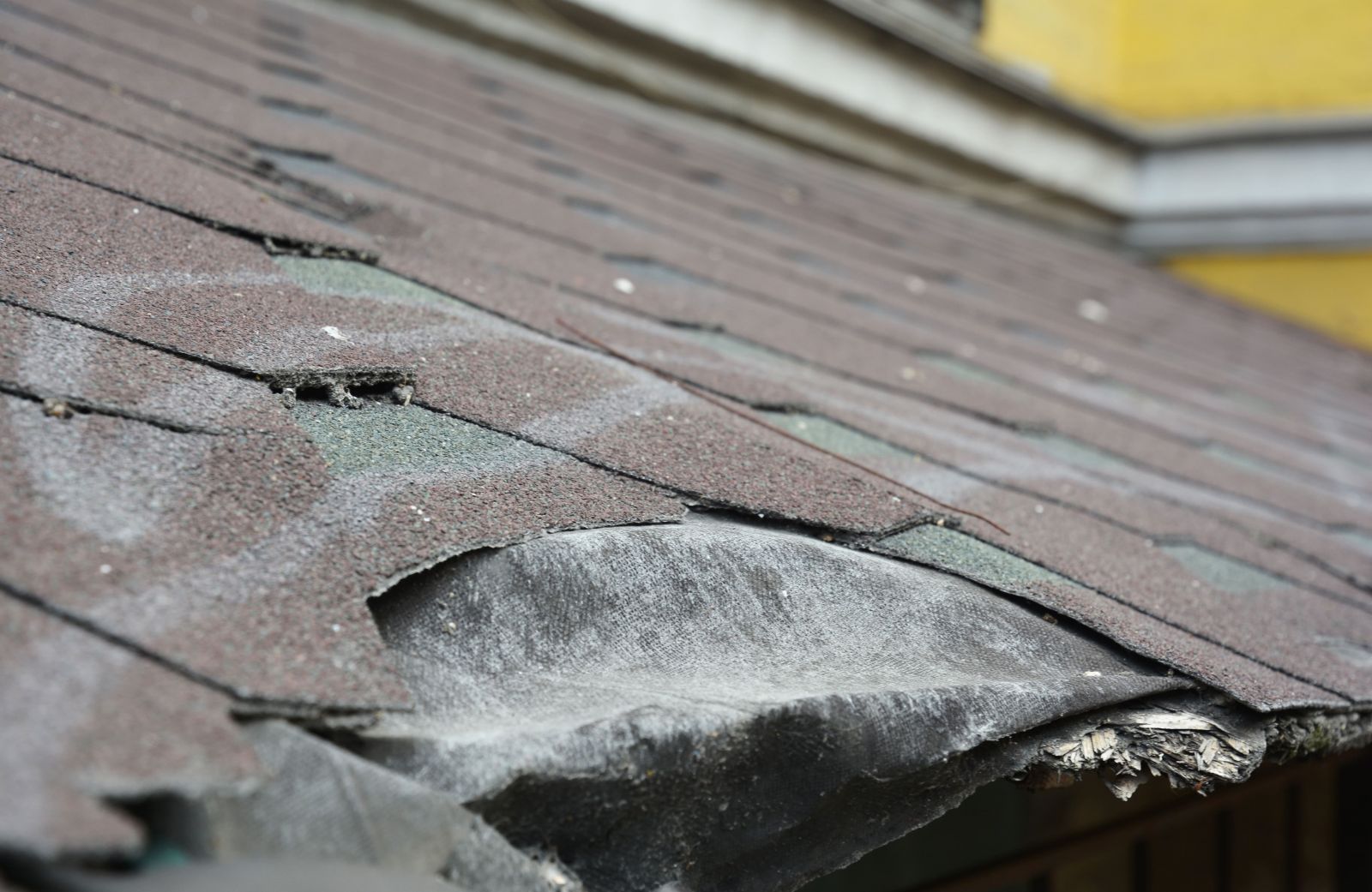Jeff's Roofing Images