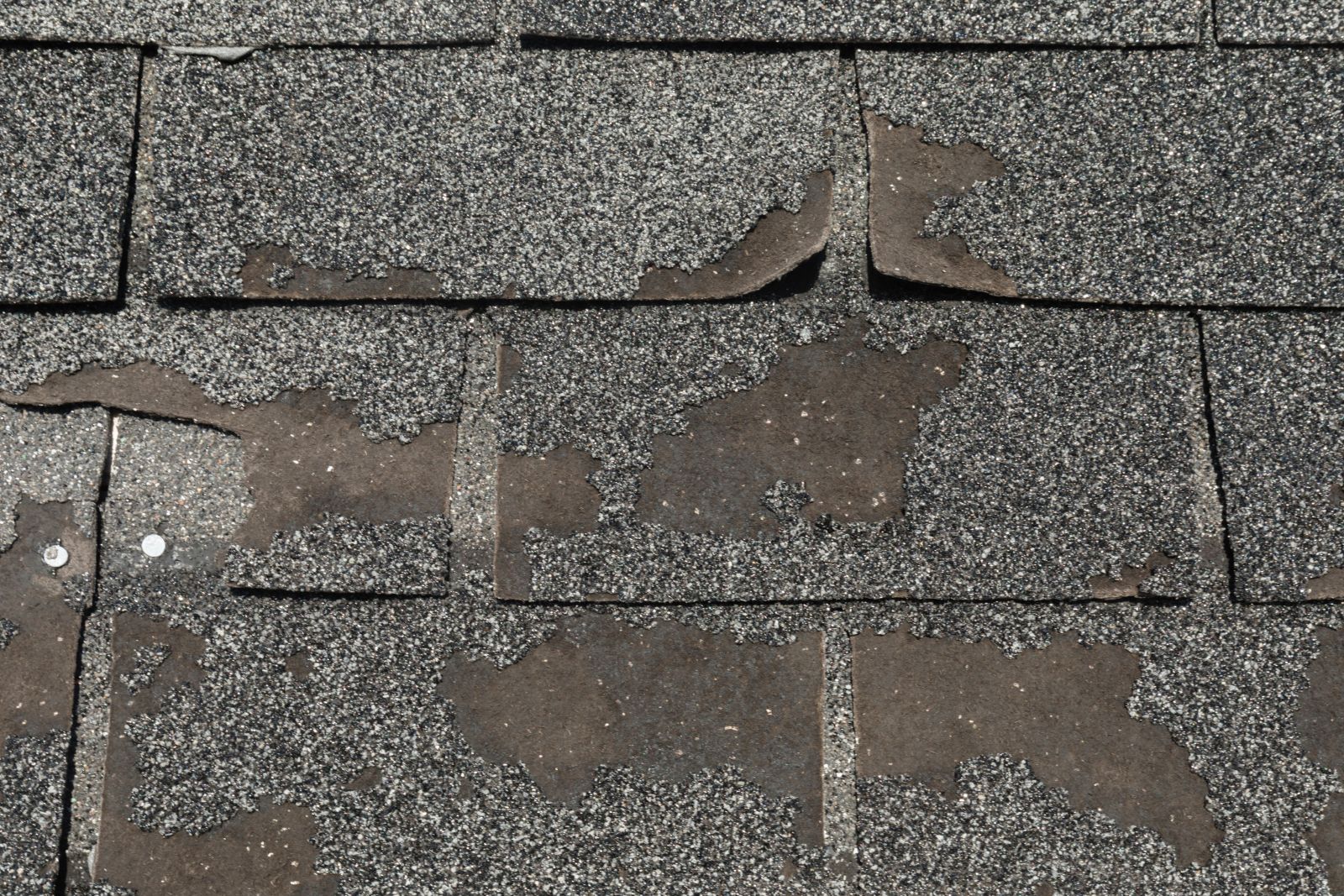 Jeff's Roofing Images